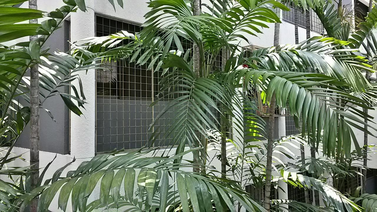 The Garden Apartment At Bangsar Kuala Lumpur Exterior foto